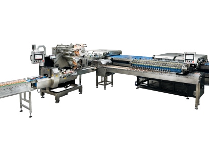 teknopack 120 - Family pack, waffer, biscuit, cake, on edge, bar feeding and packaging machine_